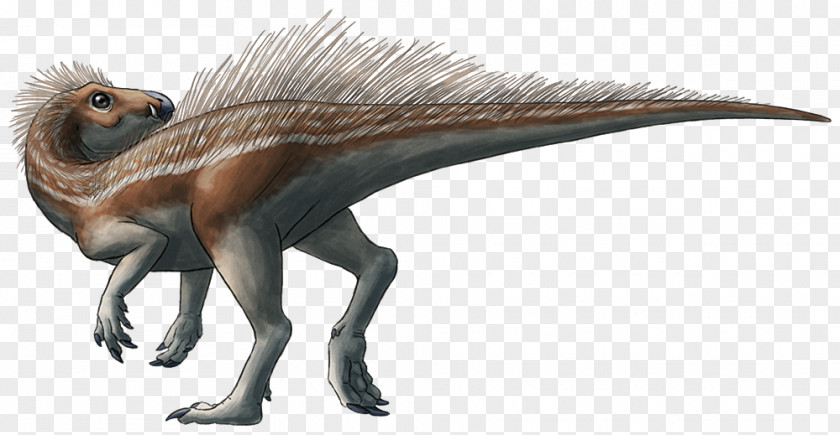 Yutyrannus Pegomastax Africana Ornithischian Dinosaurs Velociraptor PNG