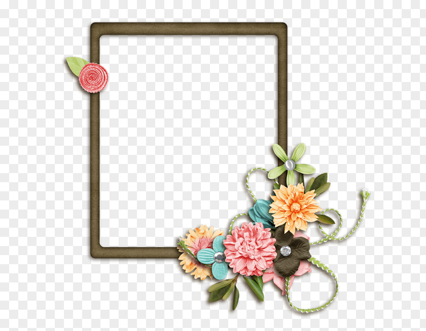 Flower Carnation Picture Frames PNG