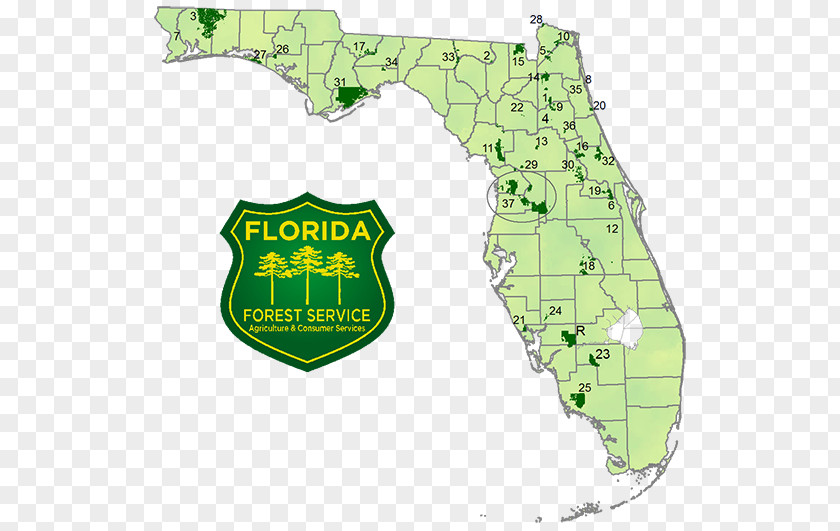 Forest Florida National Scenic Trail United States Service Map PNG