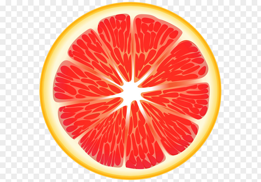 Orange Slice Blood Grapefruit Juice Mandarin Valencia PNG