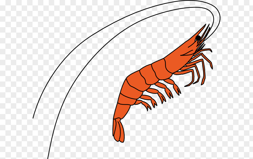 Oxymoron Antithesis Word Essay Index Term PNG term, shrimps clipart PNG