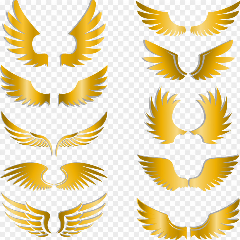 Painted Gold Wings Clip Art PNG