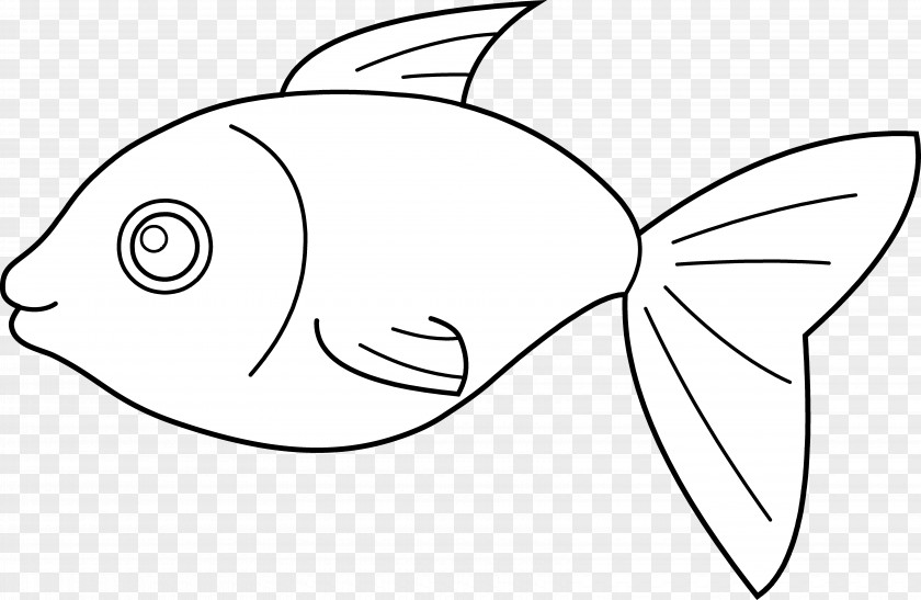 Betta Saltwater Fish Clip Art PNG