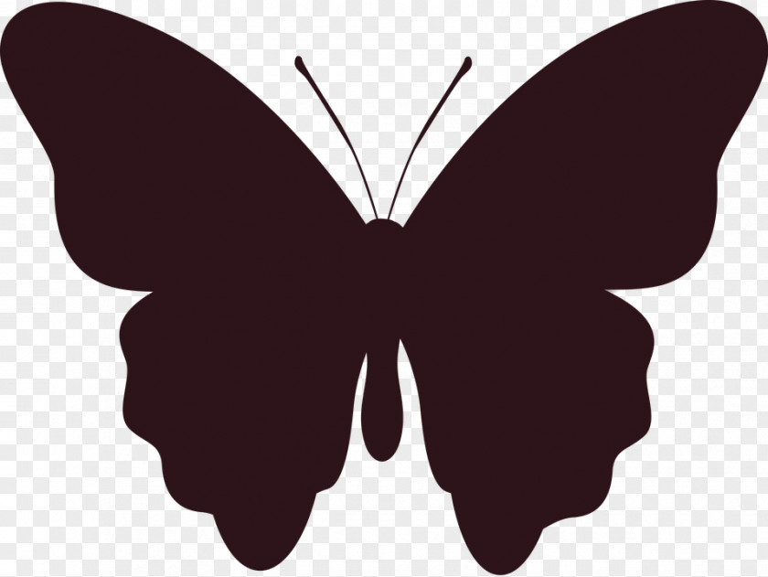 Butterfly Insect Silhouette Image Clip Art PNG