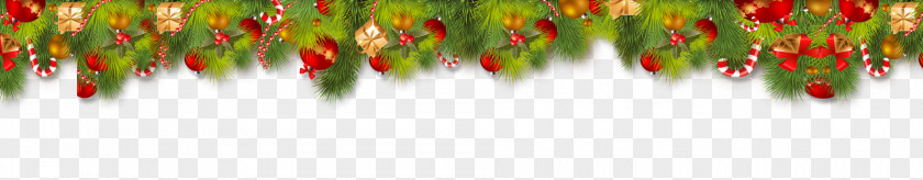 Christmas Tree Fashion Accessory Wallpaper PNG