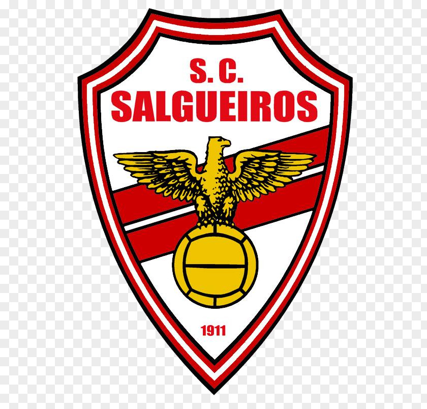 Football S.C. Salgueiros Campeonato De Portugal Porto Sports PNG