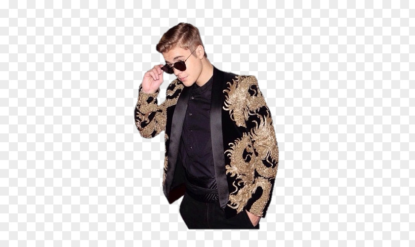 Purpose World Tour Celebrity Song PNG