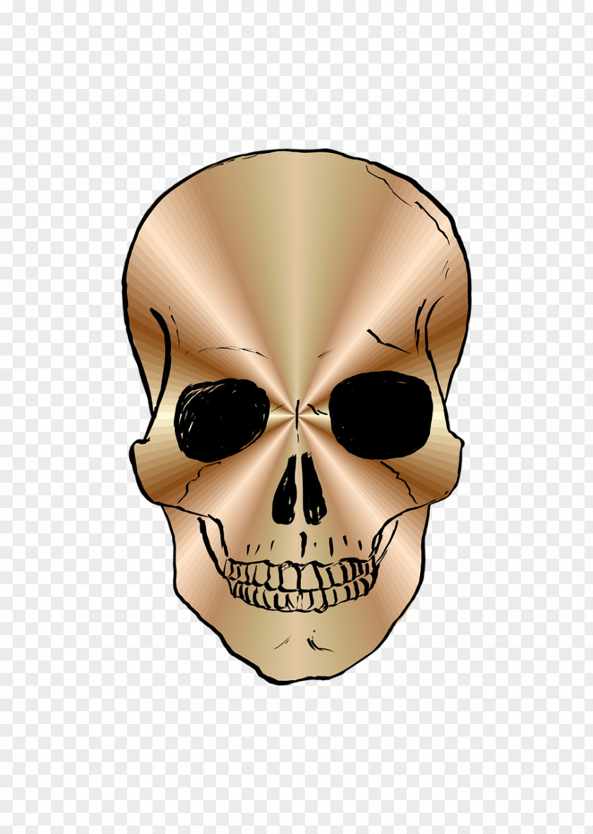 Skulls Skull PNG