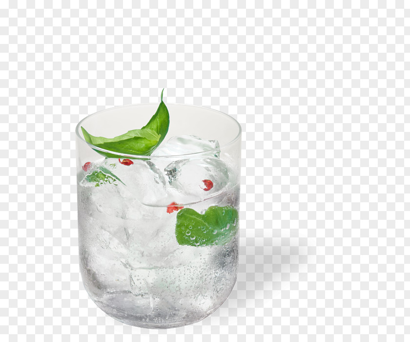 Vodka Rickey Gin And Tonic Water Fizzy Drinks PNG