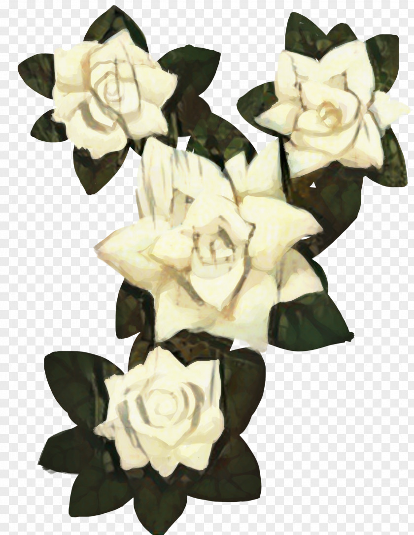 Artificial Flower Magnolia Drawing Of Family PNG
