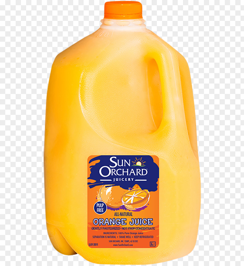 Grapefruit Juice Orange Drink Vesicles Lemon PNG