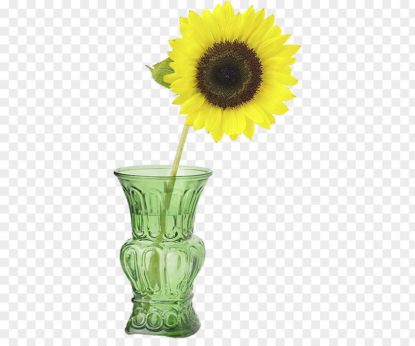 Vase Common Sunflower With Three Sunflowers Cut Flowers Perennial PNG