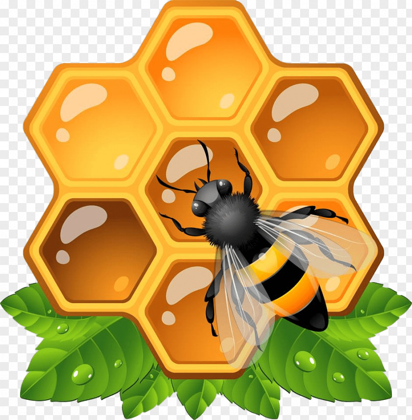 Beehive Honey Bee Insect Honeycomb Clip Art PNG