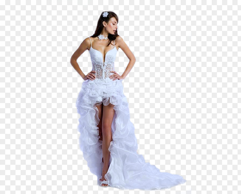 Bride Wedding Dress Sleeve PNG