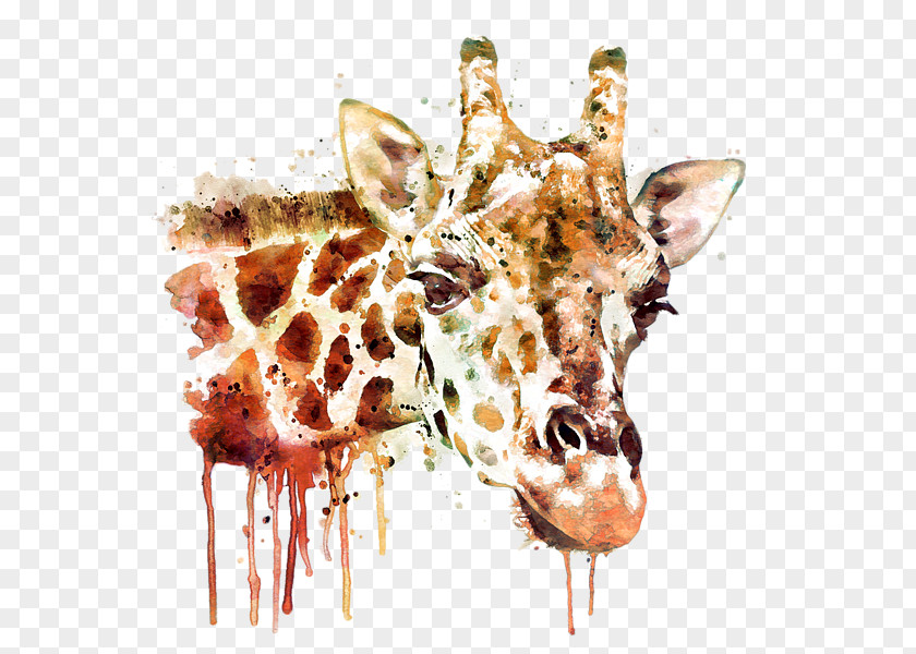 Giraffe Head Painting Canvas Art Drawing PNG