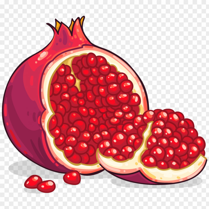 Harvest Pomegranate Clip Art PNG