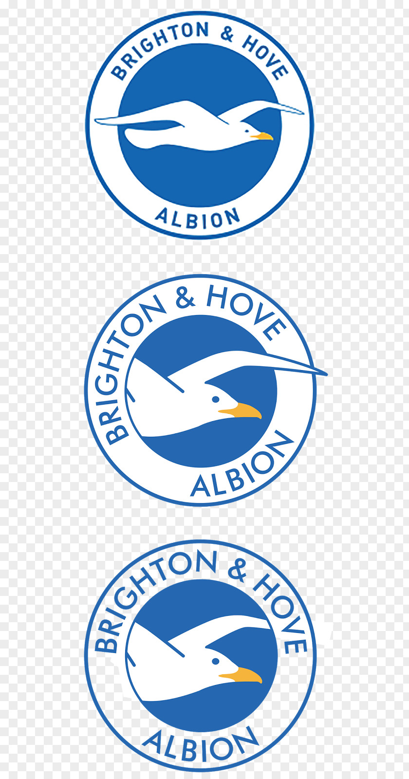 Hole In The Wall Brighton & Hove Albion F.C. Logo Trademark Brand PNG