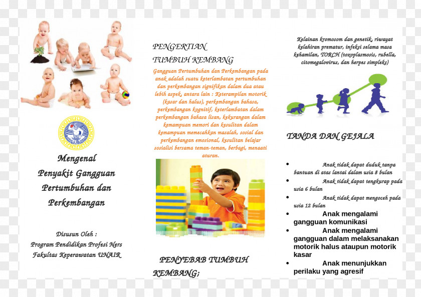 Leaflet Advertising Human Behavior Education Web Page Font PNG
