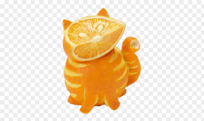 Orange Kitten Cat The Arts Humour PNG