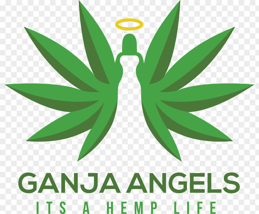Cannabis Medical Leaf Clip Art Logo PNG