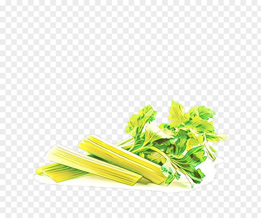 Herb Choy Sum Vegetable Food Celery Leaf Plant PNG