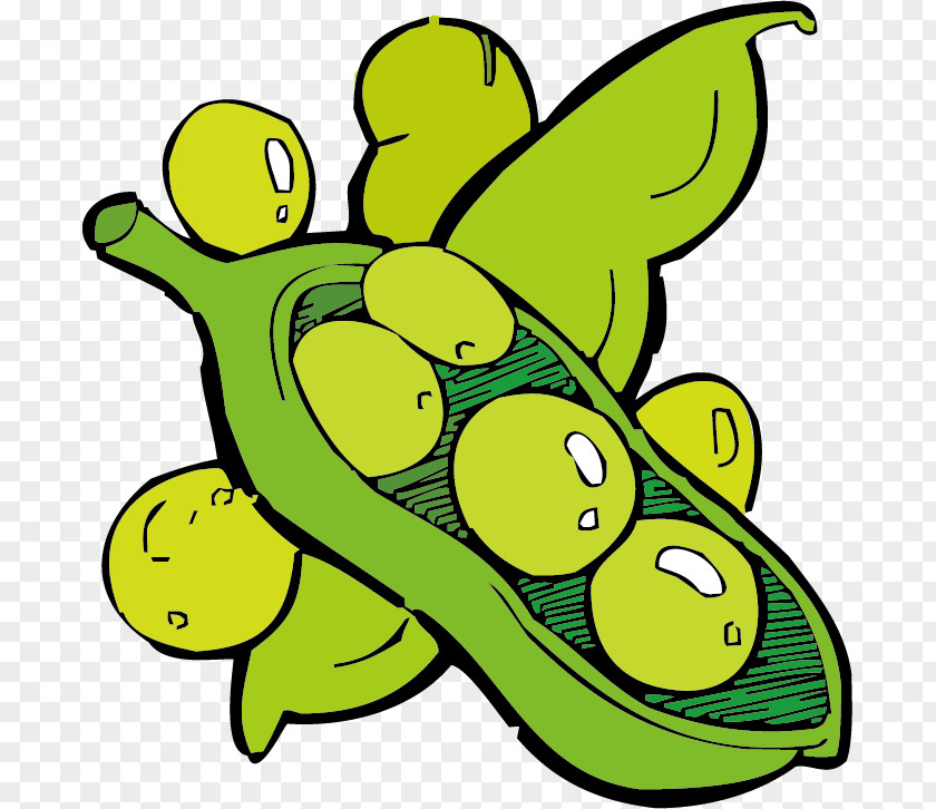 Pea Vegetable Cartoon Clip Art PNG