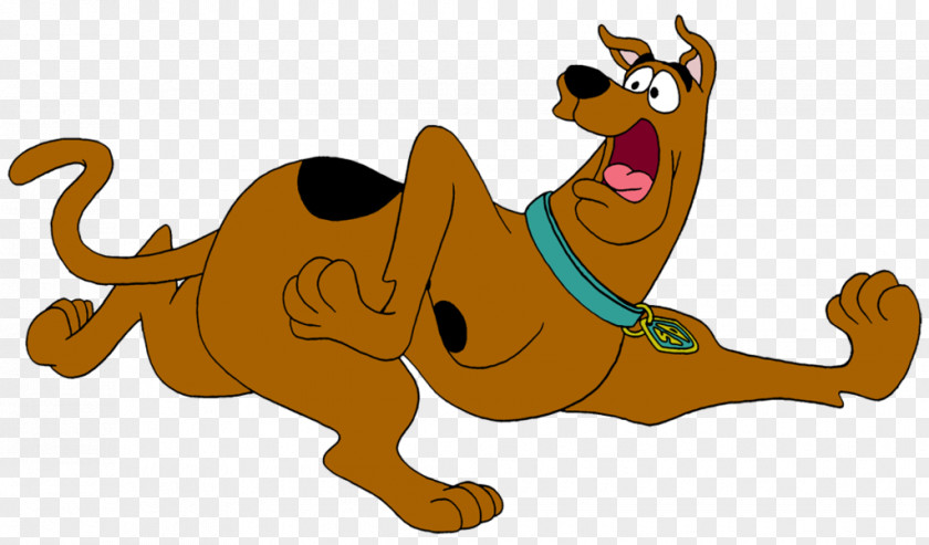 Scared Turkey Scooby Doo Shaggy Rogers Daphne Blake Film PNG