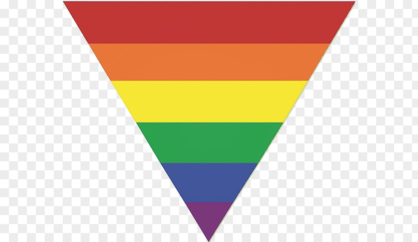 Triangle Rainbow Flag LGBT Pink PNG