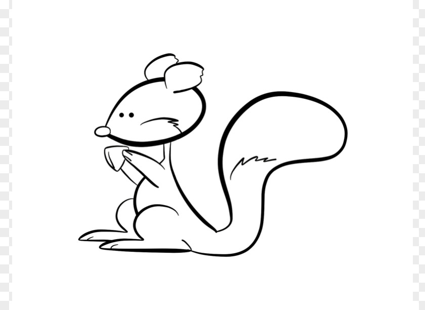 Flying Squirrel Coloring Page Chipmunk Giant Panda Clip Art PNG