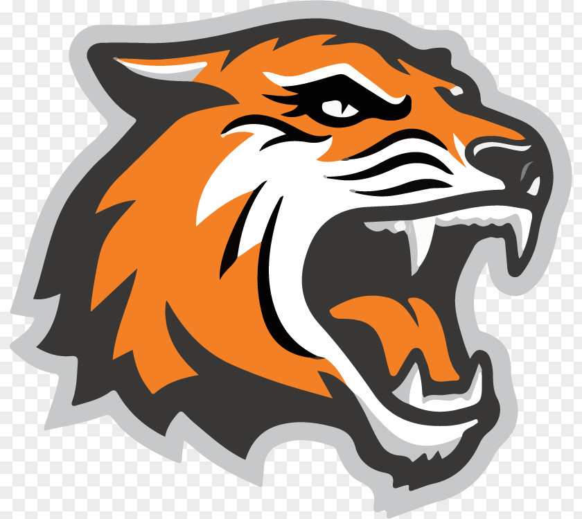 Lacrosse Rochester Institute Of Technology Tigers Men's Basketball RIT Women's Ice Hockey NCAA Division III Championship PNG