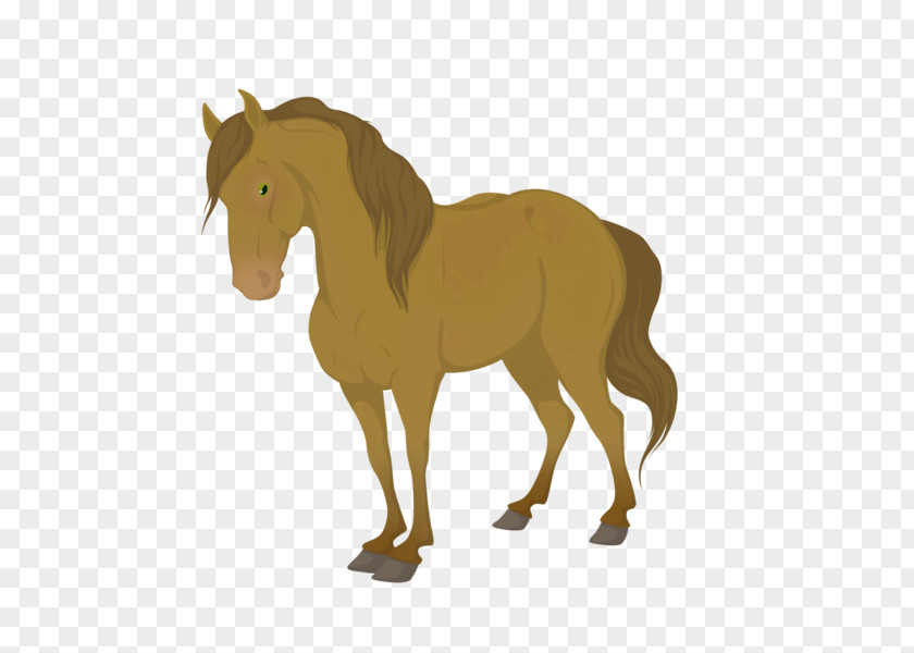 Mustang Mane Pony Foal Stallion PNG