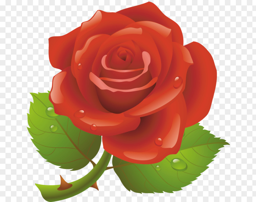 Rose Free Vector Clip Art Openclipart Black Content PNG