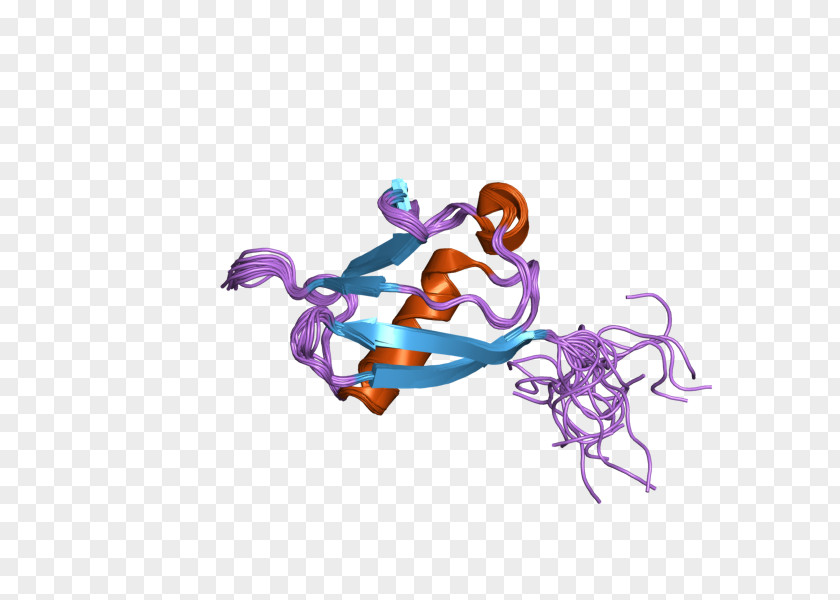 UBL4A Illustration Protein Human Ubiquitin PNG