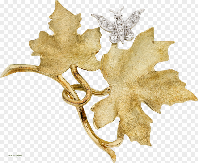 Leaf Прикраса Brooch Clip Art PNG
