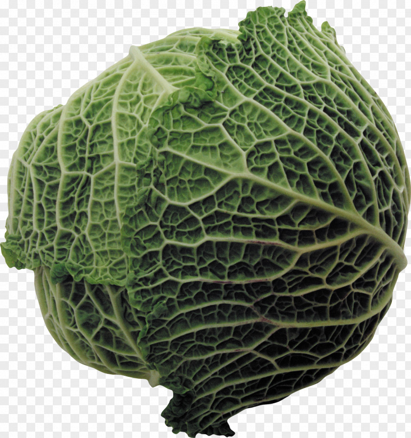 Cabbage Image Savoy Brussels Sprout Cauliflower PNG