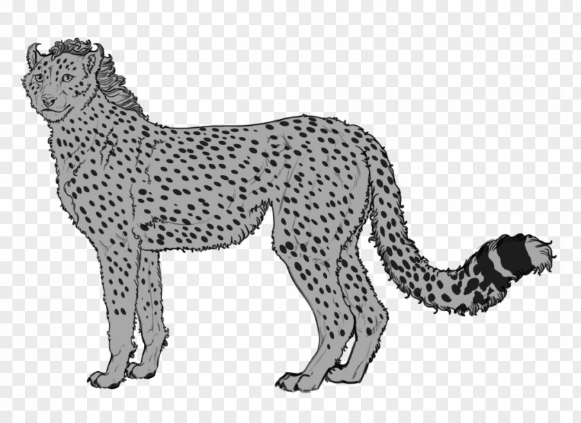 Cheetah Leopard Lion Cougar Cat Ocelot PNG