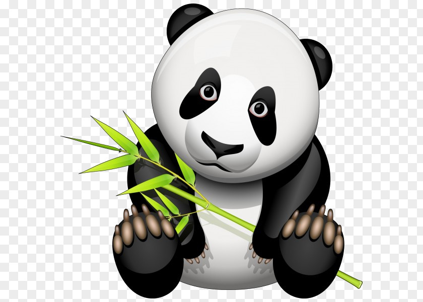 Giant Panda Google Clip Art PNG