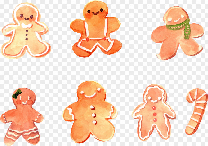 Vector Painted Gingerbread Man Pryanik Pain Dxe9pices Royal Icing PNG