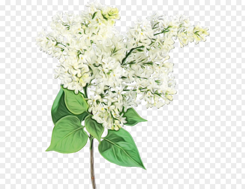 Artificial Flower Cornales PNG