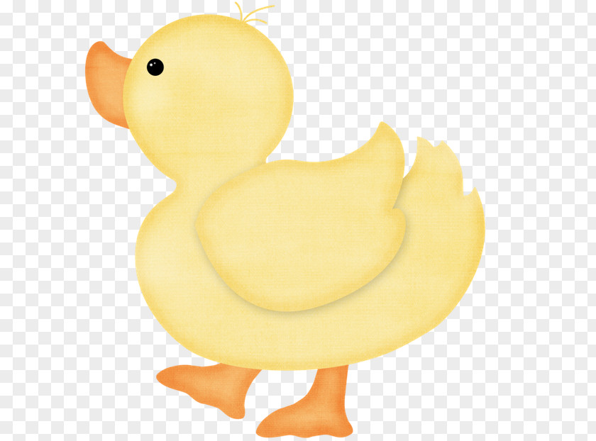 Duck Clip Art Drawing Image Openclipart PNG