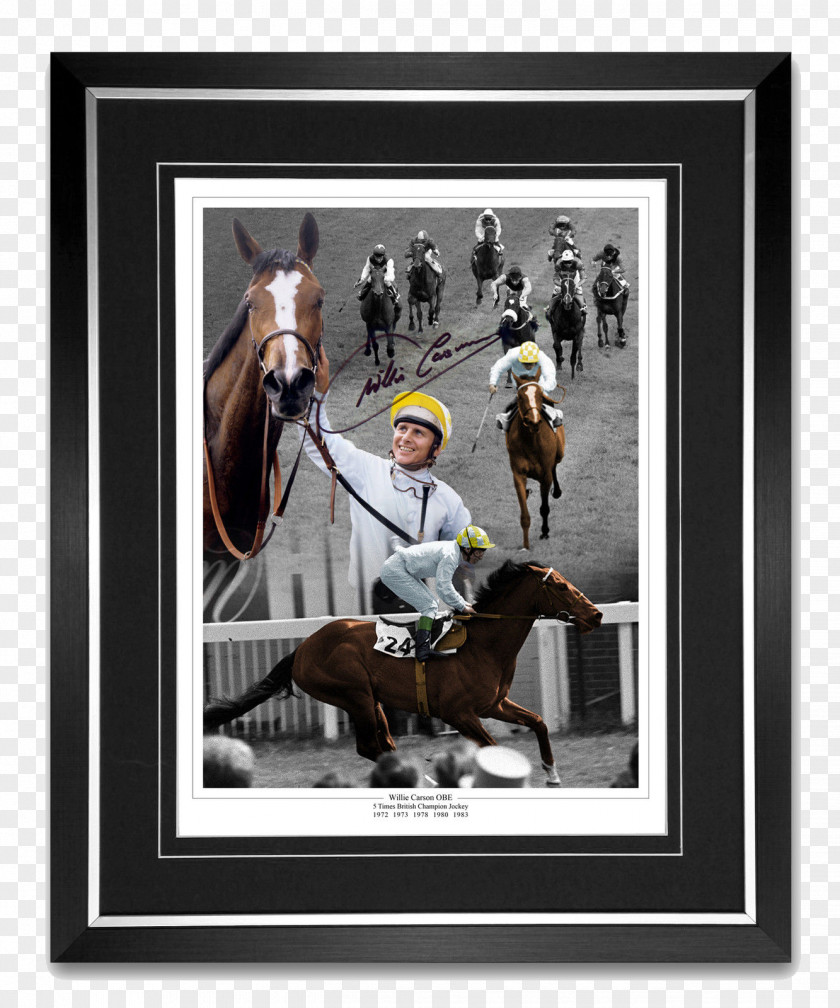 Horse Race Jockey 2010 Grand National Queen Mother Champion Chase King George VI Racing PNG