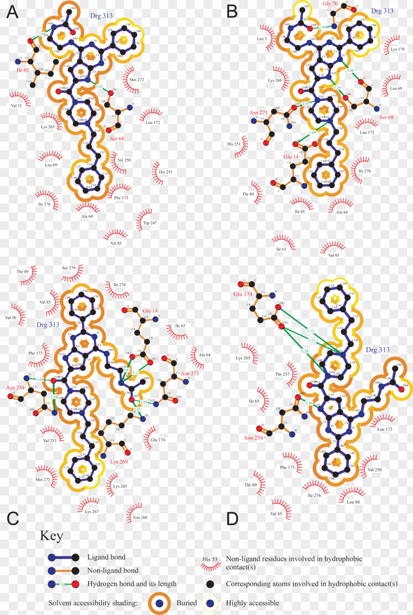 Illustration Graphic Design Glucose Oxidase Pattern PNG