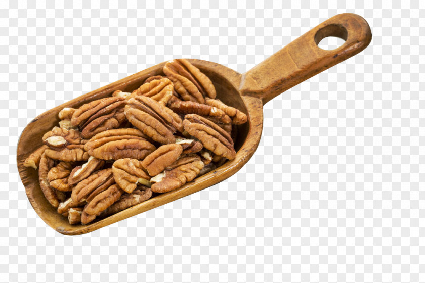 Lane Walnut Wooden Spoon Pecan Pie Nut Cashew Food PNG
