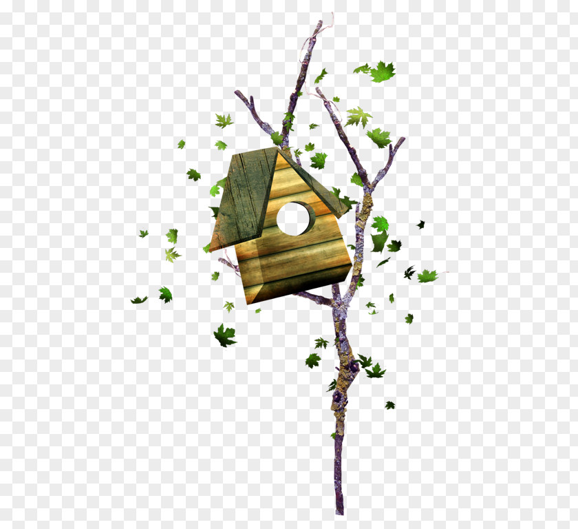 Nest On The Branches Box Animation Clip Art PNG