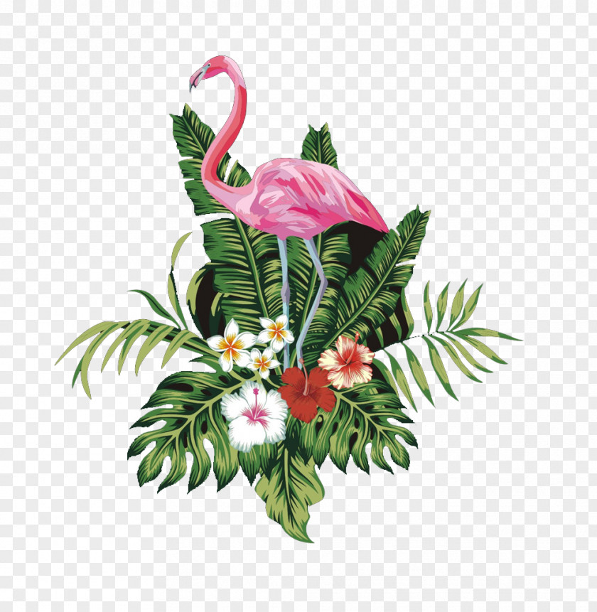 Pink Flamingo Bird PNG