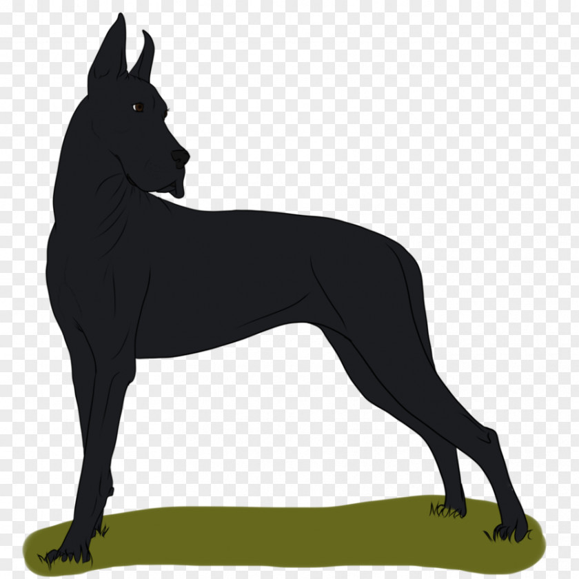 Waiting Line Rope Homemade Great Dane Dog Breed Non-sporting Group (dog) PNG