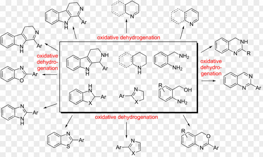 Dehydrogenation Redox Alkene Chemical Compound Ketone PNG