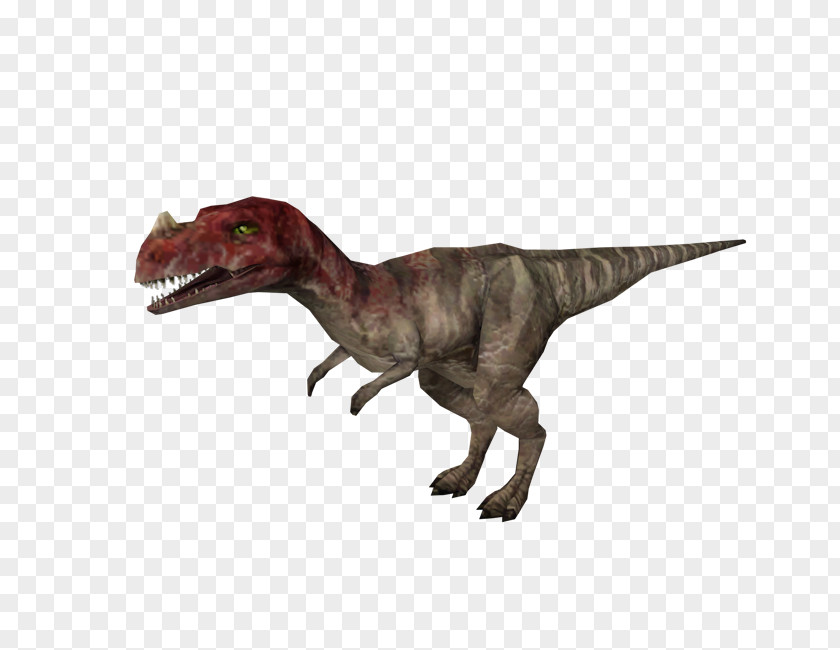 Dinosaur Tyrannosaurus Jurassic Park: Operation Genesis Ceratosaurus Velociraptor Allosaurus PNG