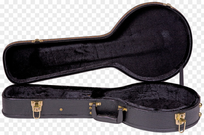 Electric Guitar Cavaquinho Epiphone Ukulele Mandolin PNG