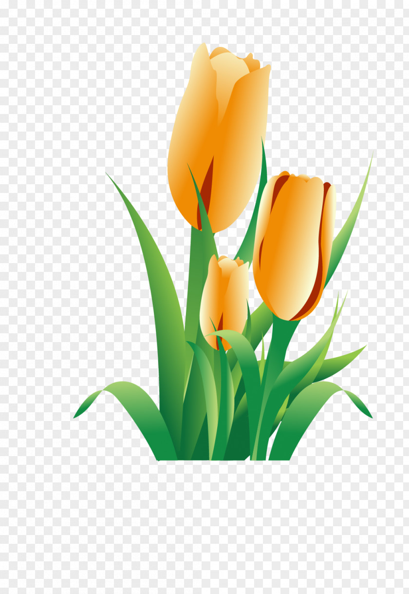 Golden Tulip Flower Icon PNG